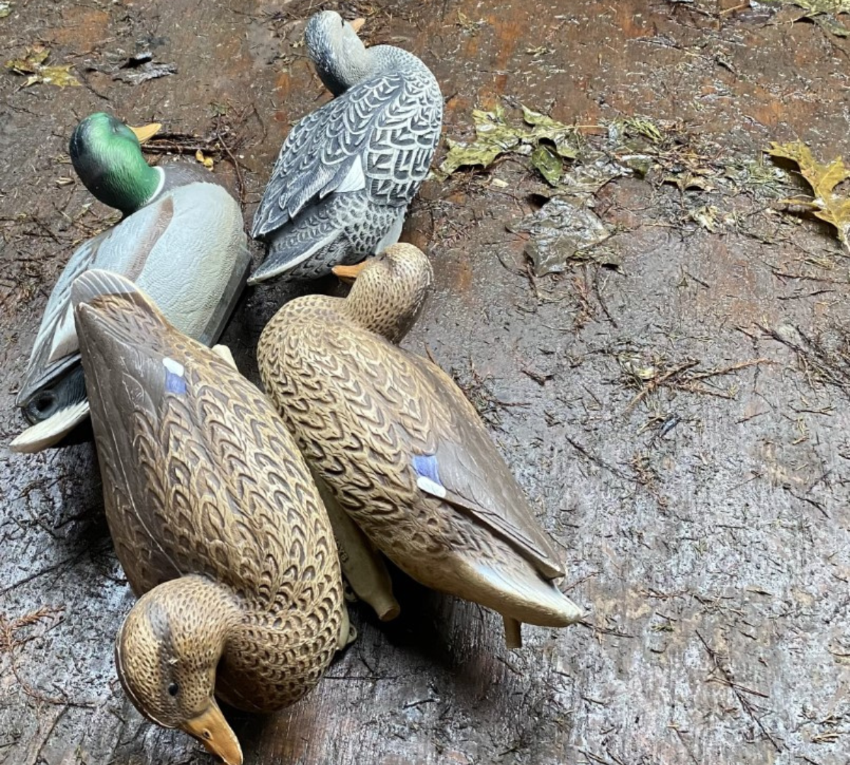A group of duck decoys ready for a hunt