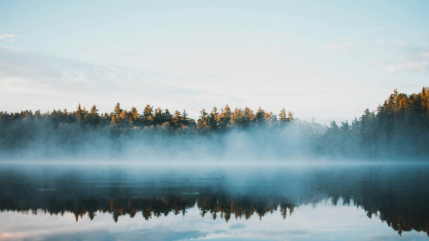 Morning mist drifting across a forest-lined Ontario lake